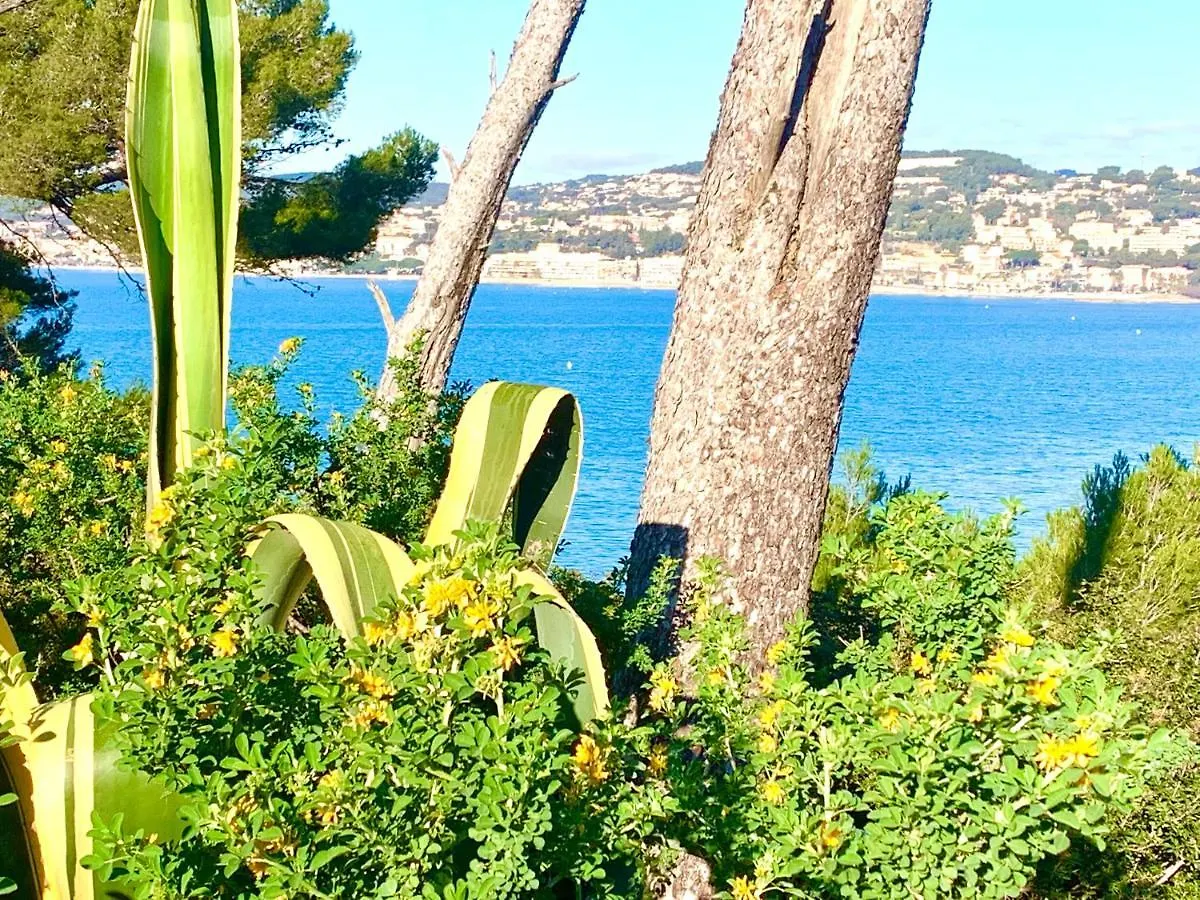 NOUVEAU écume&clapotis Sanary-sur-Mer